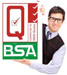 Bsa admin logo